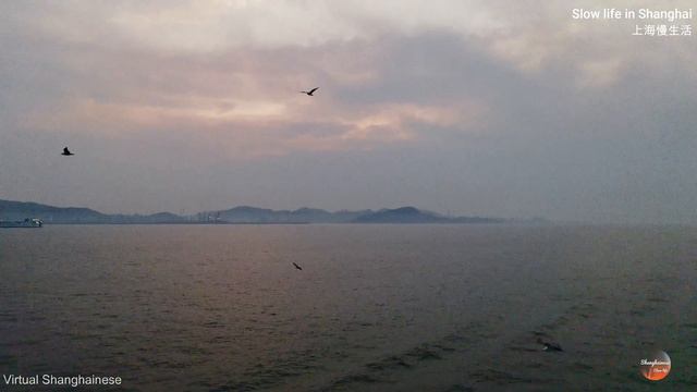 迎接新的一天！浪漫渤海渡轮日出之旅，美景无限！全程4K！渤海渡轮日出之旅，大海唤醒晨曦的壮丽景色！Early Morning Sea View On Bohai Sea Ferry