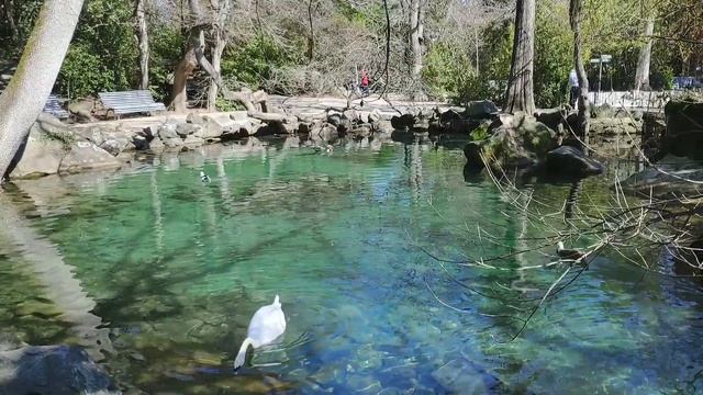 Крымские каникулы, день 6-ой - Алупка, Воронцовский парк, скала Айвазовского (репортаж смартфоном) смотреть онлайн