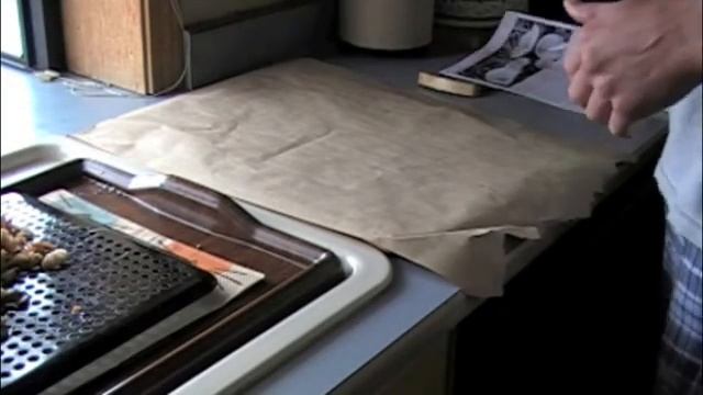 Fairy Ring Lawn Mushroom Pizza.mov смотреть онлайн