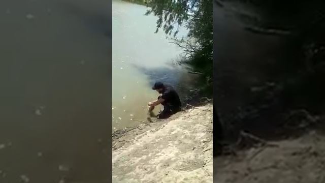 Река Сулак, Дагестан рыбалка смотреть онлайн