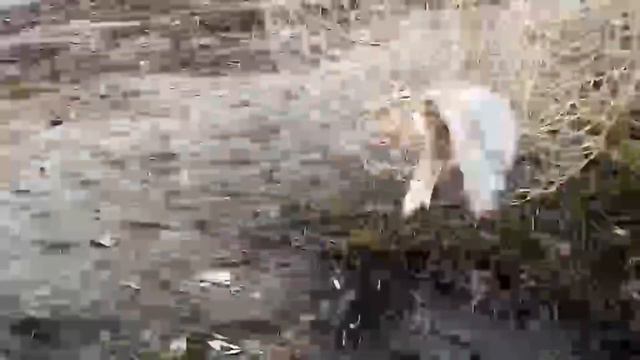 Узнать Новости с Днестра за 25 декабря /зимний карась на фидер /52км./ смотреть онлайн