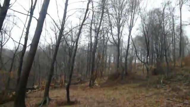 axtala oxota смотреть онлайн