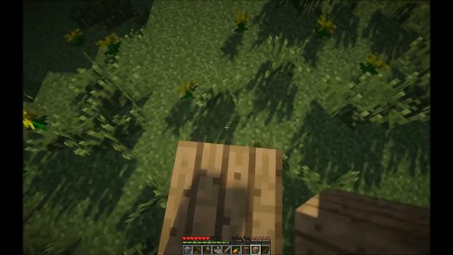 Начало 1 - вая серия LP по Minecraft ! смотреть онлайн