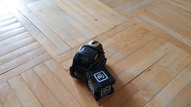 Anki Vector Robot робот с искусственным интеллектом
