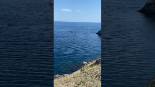 20-07-2023 можевеловая роща Новый свет