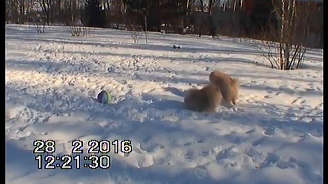 DVD 170952 0 смотреть онлайн