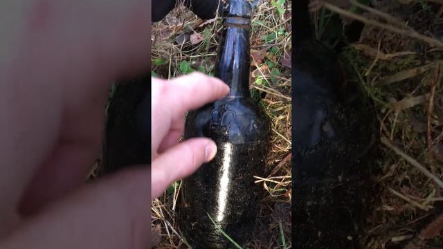 ОНА БЫЛА ЦЕЛАЯ | ВЫТАЩИЛ ИЗ ЗЕМЛИ | НАХОДКА НА КОПЕ #shorts #находка #коп смотреть онлайн