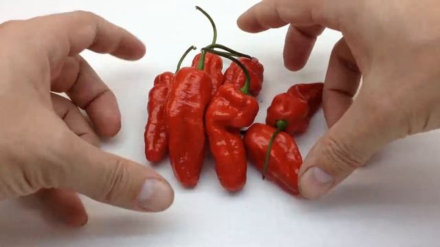 Devil Finger смотреть онлайн