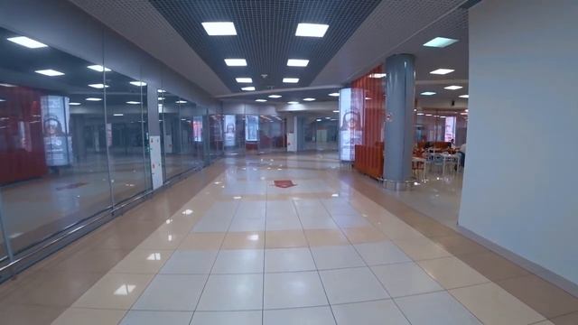 Поесть ВКУСНО и БЮДЖЕТНО в аэропорту? ЛЕГКО!!! Столовая Шереметьево, Аэроэкспресс. смотреть онлайн