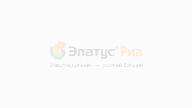 ЭЛАТУС® РИА — фунгицид нового поколения для зерновых культур! смотреть онлайн