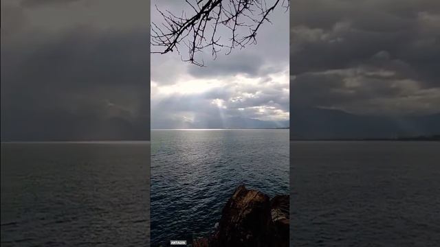 Antalya Akdeniz #antalyaakdeniz #akdeniz #antalyalara #lara #türkiye #güzelakdeniz #seaview #shorts смотреть онлайн