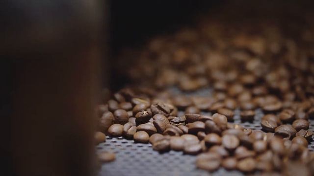 Брю. семейная обжарочная Specialty кофе Roasting Brew