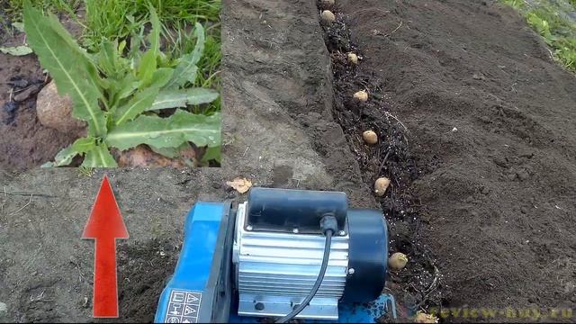 Hyundai T 2000E электрокультиватор в работе