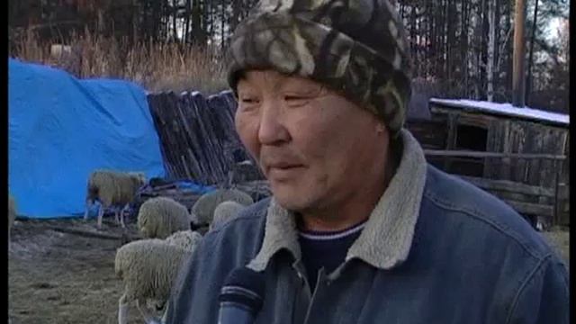 Якутские гибриды чубуку и барана смотреть онлайн
