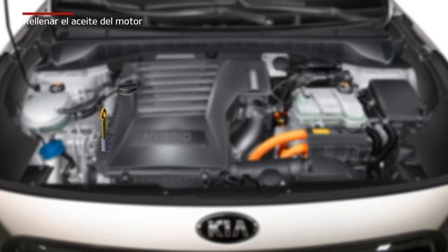Niro - Rellenar el aceite del motor (For EU) смотреть онлайн