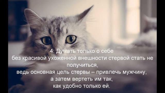 Как стать Стервой для своего мужчины - Красивая и Успешная смотреть онлайн