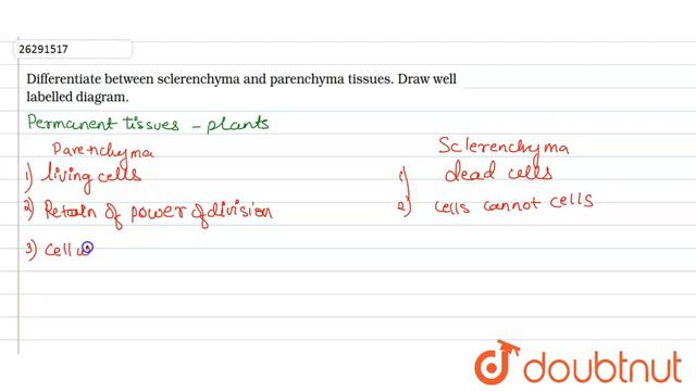 Differentiate between sclerenchyma and parenchyma tissues. Draw well labelled diagram. смотреть онлайн