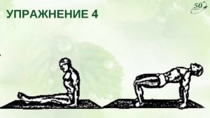 «Пять тибетских жемчужин» l