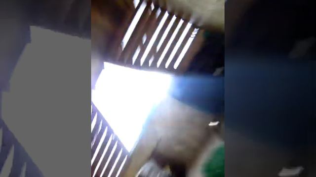 Показываем весь янтык 1# смотреть онлайн