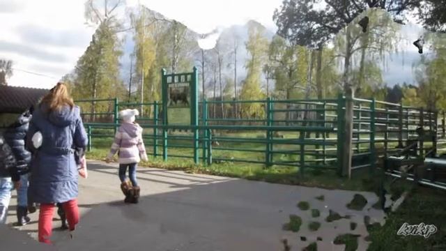 Наш класс! Поездка к зубрам 2 б Остафьево смотреть онлайн