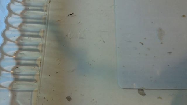 225 Suveniruri de la Jigodin смотреть онлайн