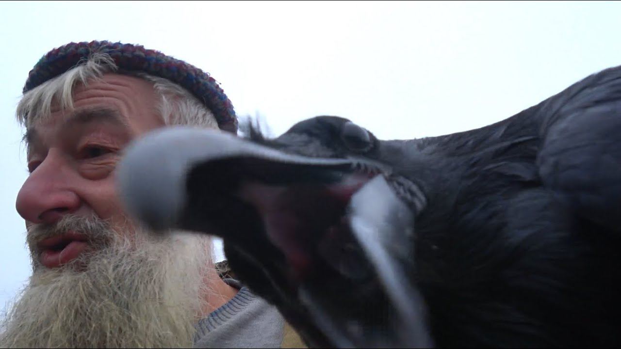 На, Чуй, мисочку. смотреть онлайн