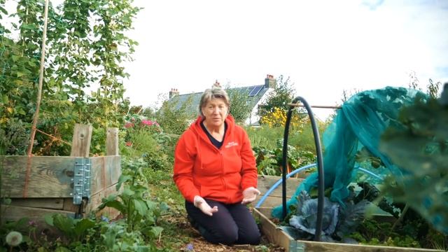 How to Protect Brassica Without Using Chemicals | Organic Pest Control смотреть онлайн