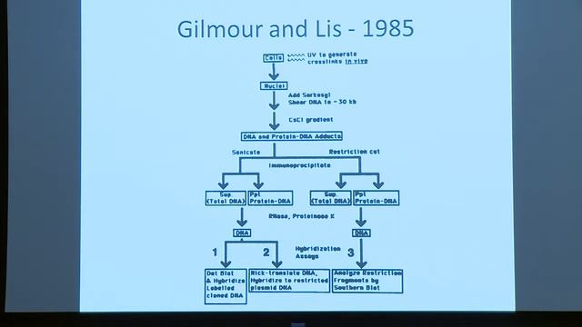 BroadE: Chromatin biology and ChIP methods смотреть онлайн