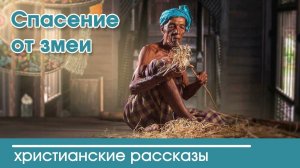 Спасение от змеи - ИНТЕРЕСНЫЙ ХРИСТИАНСКИЙ РАССКАЗ Вероника Тихая | Христианские рассказы