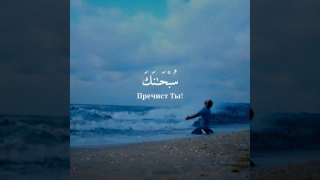 Сура 21 «Аль-Анбийа (Пророки)»{87-88}Чтц: Мухаммад Люхайдан #subhanallah #alhamdulillah #allahuakba