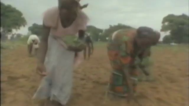 Feeding the Future A Green Revolution for Ghana v3 (English) 1988 смотреть онлайн
