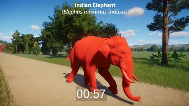 Red Animals Races in Planet Zoo included Giraffe, Hippopotamus, Elephant & etc | Colored Animals смотреть онлайн