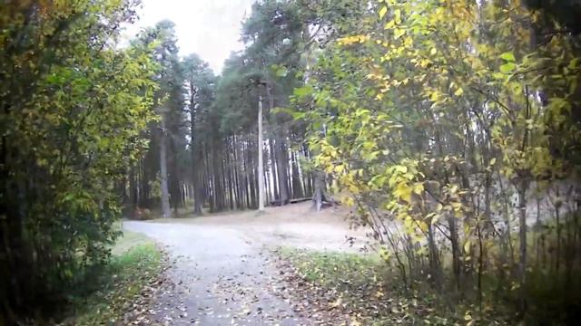 Korg Pa 600 + живая гитара. Мёртвый сезон (Авторская).