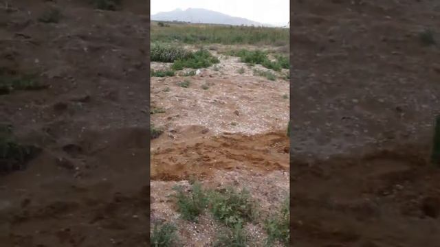 Ловля кефали и кутума на спец снасть // пароходная снасть смотреть онлайн