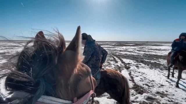 Тай үйрету | 10 бас тайды үйретеміз | 2/10 смотреть онлайн
