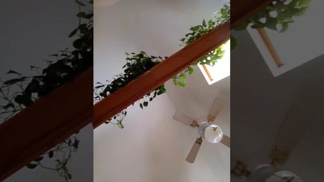 Heart's Ladder sonnet 26 "Parents' Graves" смотреть онлайн