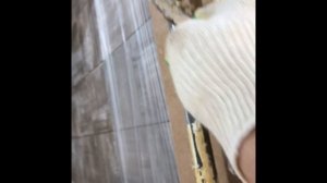 Смывка старой краски со стояков отопления. От Петровича .