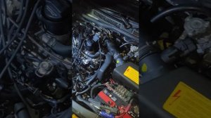 VW Bora двигатель работает 5 секунд и сам глохнет, ищем причину