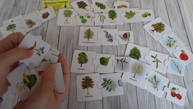 С какого дерева листок Дрофа смотреть онлайн