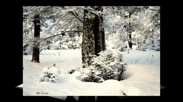 PLANETA FOTOS (ALBUM PELICULA/FOTO) смотреть онлайн