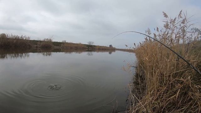 ЗА ХВОСТ... | Crazy Fish Perfect Jig 3-15... #relax #relaxlures #crazyfish #daiwa #fishing #рыбалка