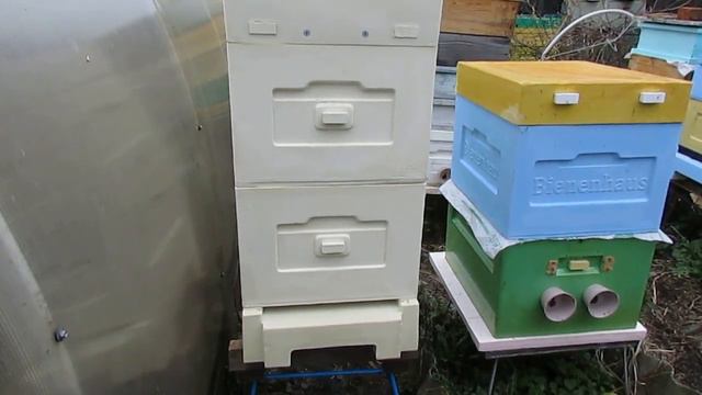 получил заказ с фирмы bienenhaus - ульи эконом, по акции, новый пыльце сборник и заградитель летка смотреть онлайн