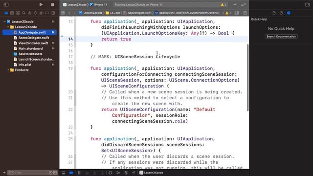 Занятие  №2. Знакомство с Xcode, верстка в Storyboard, UIViewController.