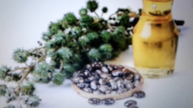 Касторовое масло:уникальные свойства, польза и вред. смотреть онлайн