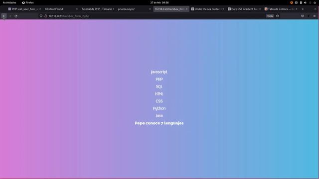 Formulario con checkbox - PHP y CSS background animación смотреть онлайн