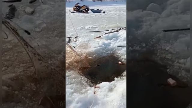 пассажир выпал. рыбалка на снегоходе Brp mxz 550f смотреть онлайн