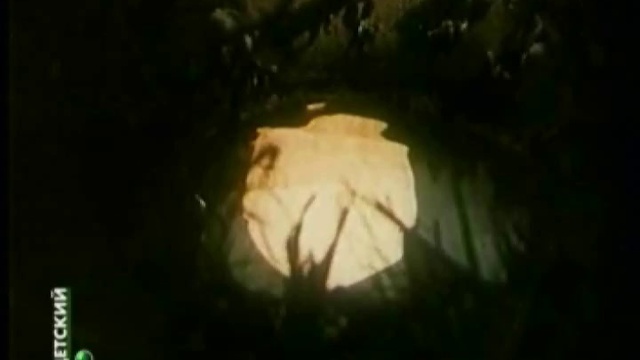 Как прекрасна сегодня Луна.