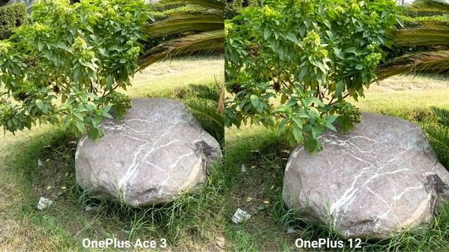 OnePlus Ace 3 VS OnePlus 12 Camera Test Comparison