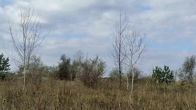 6 декабря праздник Александров день. Народные приметы и запреты. смотреть онлайн