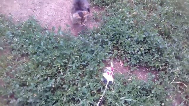 Утро Маркиза смотреть онлайн